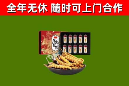 新化回收冬虫夏草价格