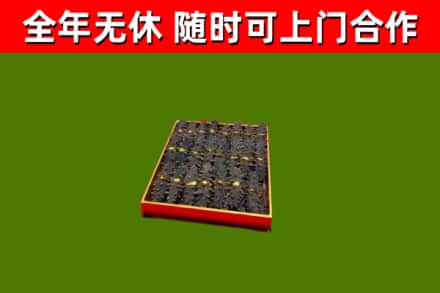 新化回收海参